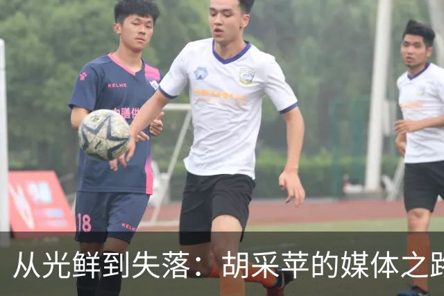 从光鲜到失落：胡采苹的媒体之路与迷思